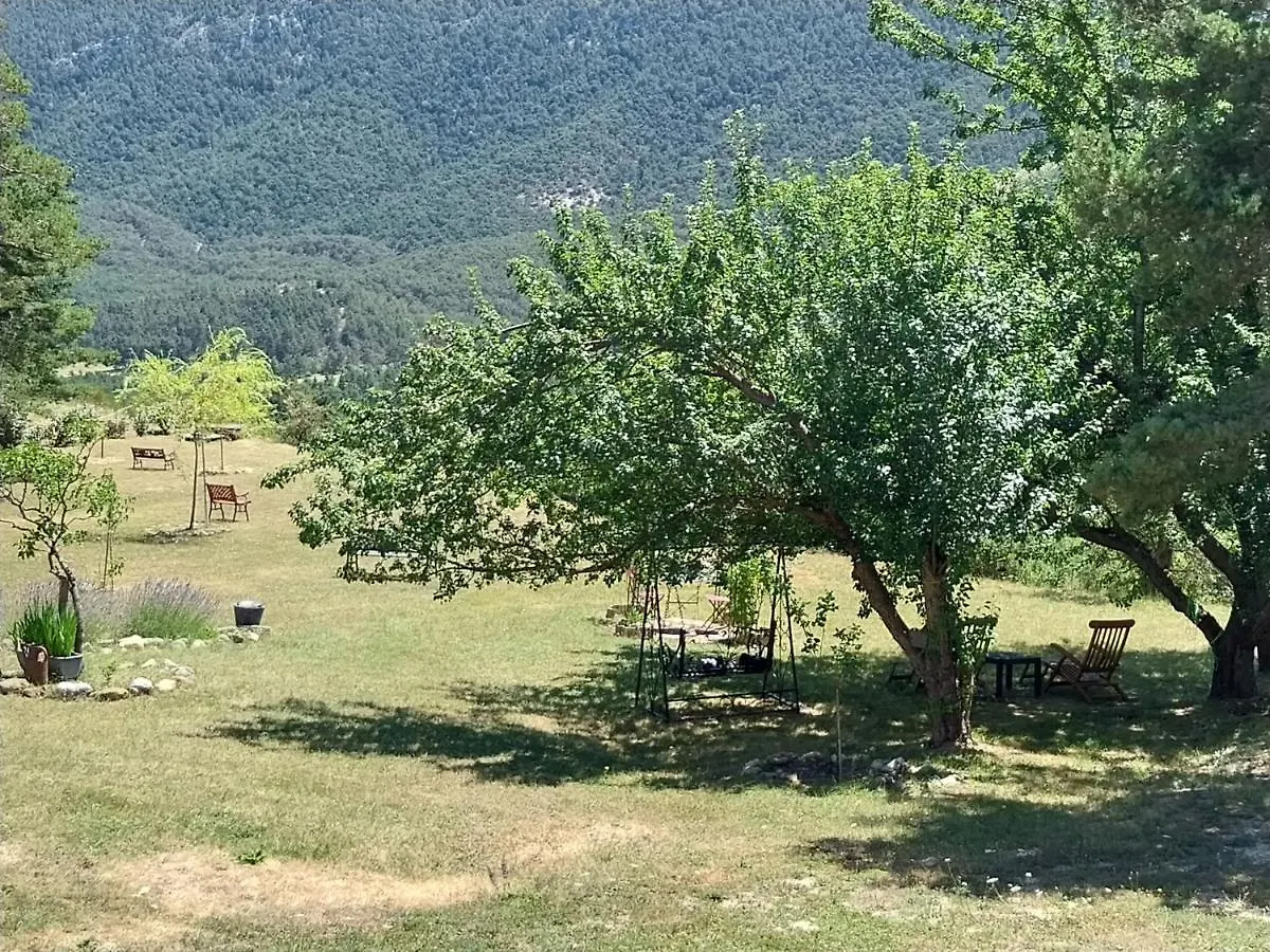 Petit Studio Dans La Prairie Saint-Auban  0*, Saint-Auban (Alpes-Maritimes)